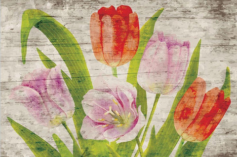 Tulips II White Modern Wood Framed Art Print with Double Matting by ND Art