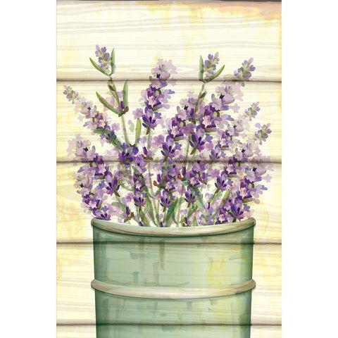 Floral Lavender IV Black Modern Wood Framed Art Print by ND Art