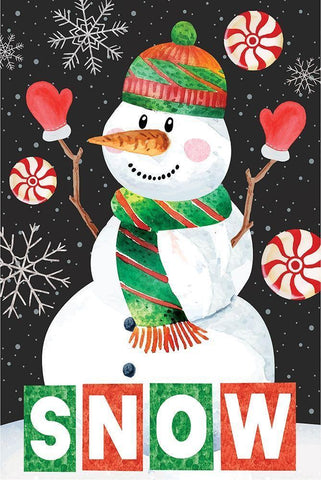 Snow Showman White Modern Wood Framed Art Print with Double Matting by ND Art