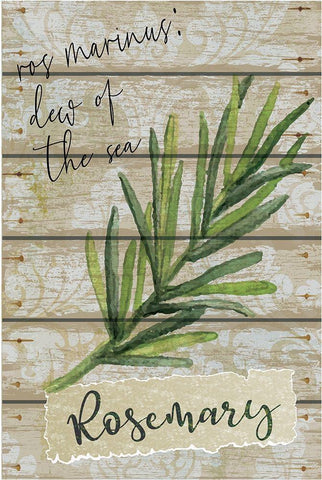 Rosemary White Modern Wood Framed Art Print with Double Matting by ND Art