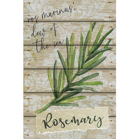 Rosemary Black Modern Wood Framed Art Print by ND Art