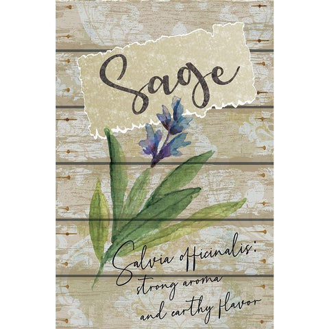 Sage Black Modern Wood Framed Art Print with Double Matting by ND Art