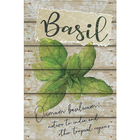 Basil Black Modern Wood Framed Art Print by ND Art