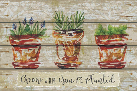 Grow Where Black Ornate Wood Framed Art Print with Double Matting by ND Art