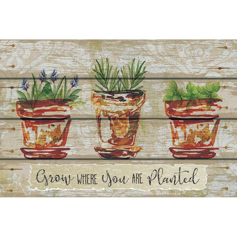 Grow Where Black Modern Wood Framed Art Print with Double Matting by ND Art