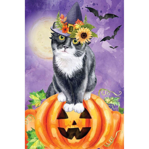 Halloween Cat Black Modern Wood Framed Art Print with Double Matting by ND Art