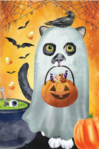 Ghost Cat Black Ornate Wood Framed Art Print with Double Matting by ND Art