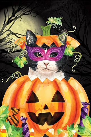 Halloween Cat II White Modern Wood Framed Art Print with Double Matting by ND Art