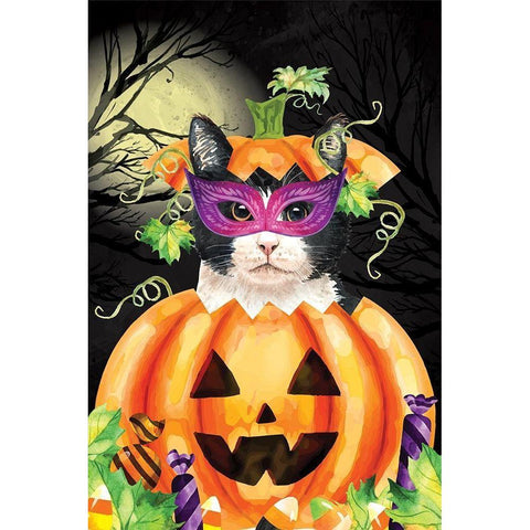 Halloween Cat II Black Modern Wood Framed Art Print with Double Matting by ND Art