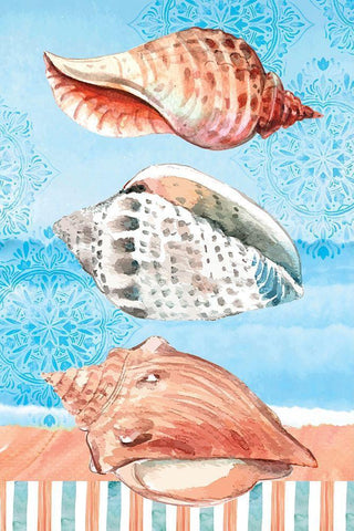 Shells White Modern Wood Framed Art Print with Double Matting by ND Art