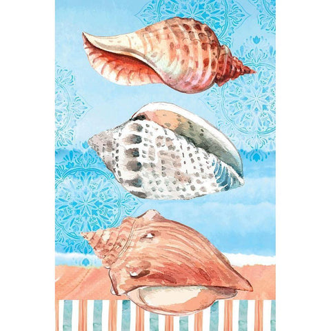 Shells Black Modern Wood Framed Art Print with Double Matting by ND Art