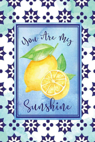 My Sunshine White Modern Wood Framed Art Print with Double Matting by ND Art