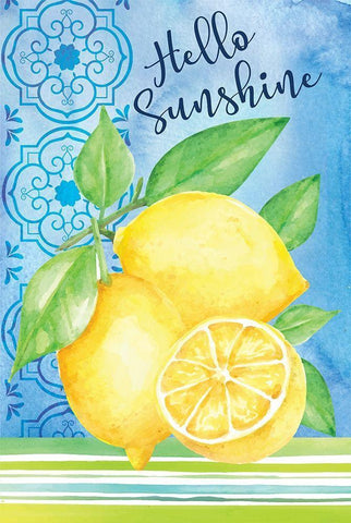 Hello Sunshine White Modern Wood Framed Art Print with Double Matting by ND Art