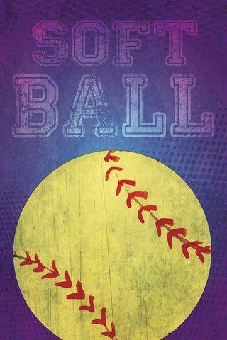 Softball Black Ornate Wood Framed Art Print with Double Matting by ND Art