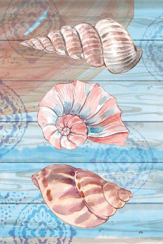 Coastal IX Black Ornate Wood Framed Art Print with Double Matting by ND Art