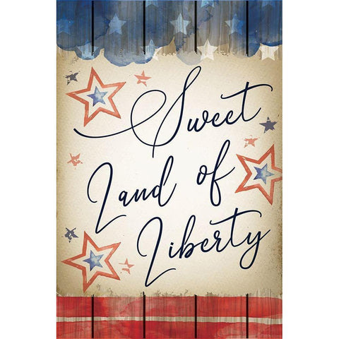 Sweet Land of Liberty Black Modern Wood Framed Art Print with Double Matting by ND Art