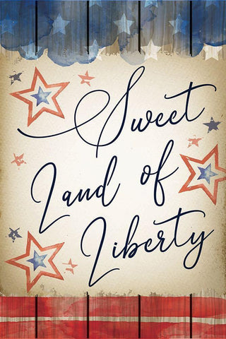 Sweet Land of Liberty White Modern Wood Framed Art Print with Double Matting by ND Art