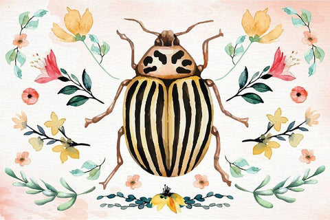 Insects II Black Ornate Wood Framed Art Print with Double Matting by ND Art