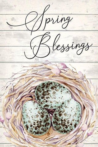 Spring Blessings White Modern Wood Framed Art Print with Double Matting by ND Art