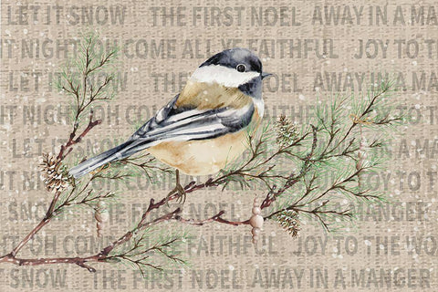 Winter Chickadee II White Modern Wood Framed Art Print with Double Matting by ND Art
