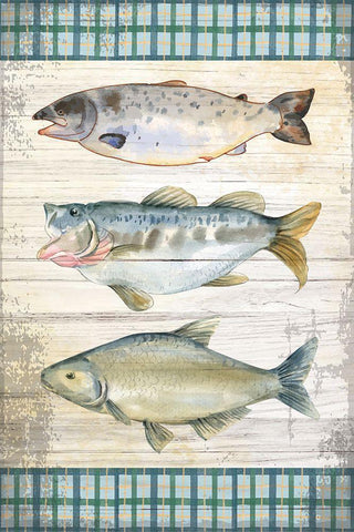 Lodge Fish White Modern Wood Framed Art Print with Double Matting by ND Art