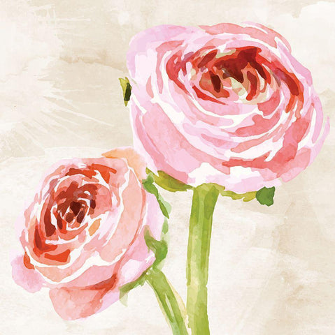 Bashful II Black Ornate Wood Framed Art Print with Double Matting by ND Art