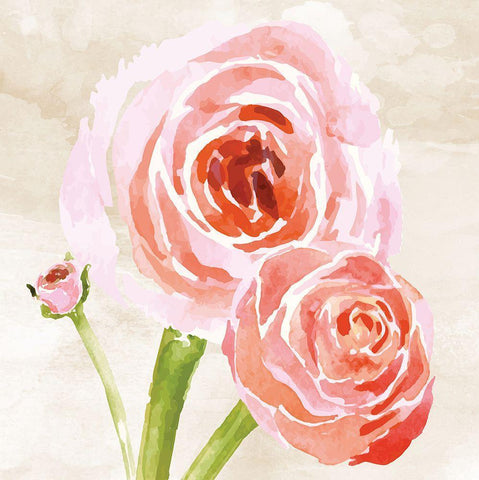 Bashful III Black Ornate Wood Framed Art Print with Double Matting by ND Art