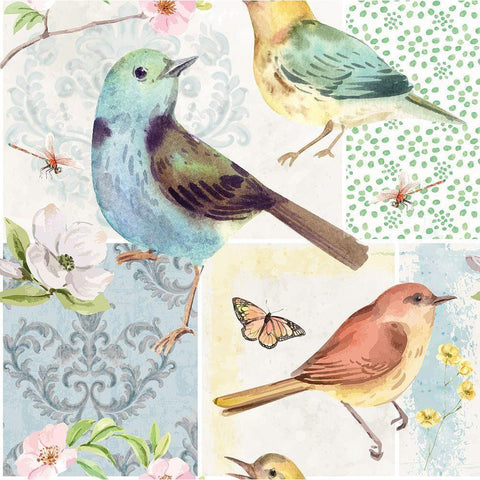 Bird Buddies White Modern Wood Framed Art Print by ND Art