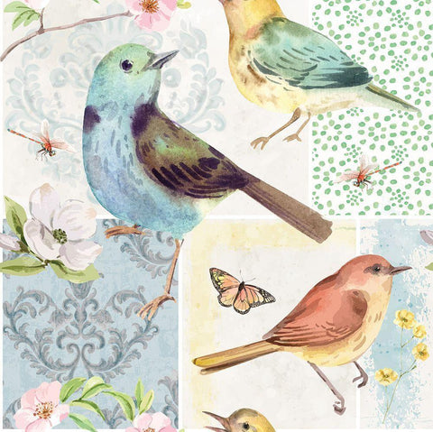 Bird Buddies Black Ornate Wood Framed Art Print with Double Matting by ND Art