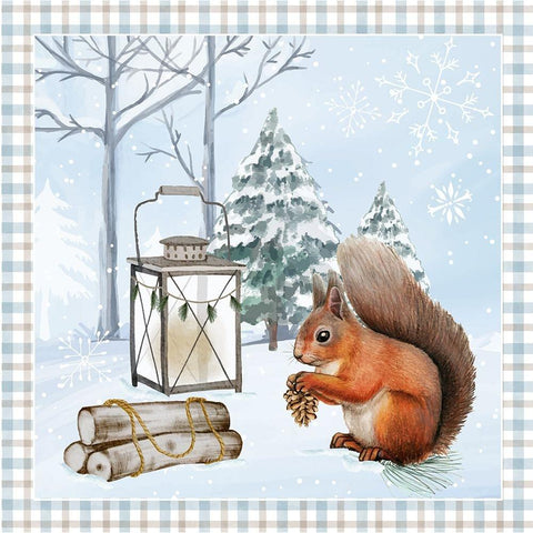 Squirrel Black Modern Wood Framed Art Print with Double Matting by ND Art