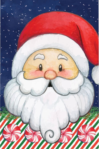 Santa III White Modern Wood Framed Art Print with Double Matting by ND Art