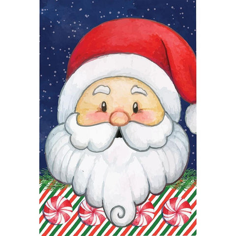 Santa III Gold Ornate Wood Framed Art Print with Double Matting by ND Art