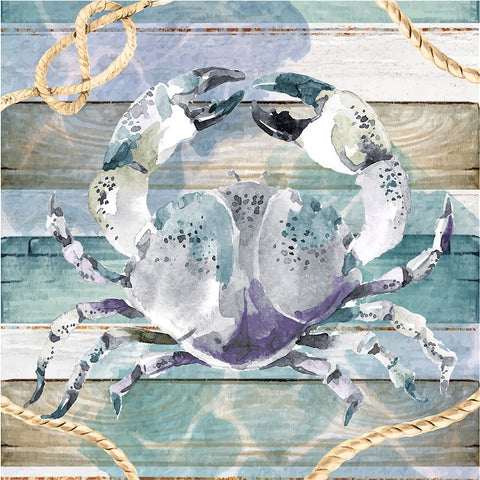 Crab White Modern Wood Framed Art Print with Double Matting by ND Art
