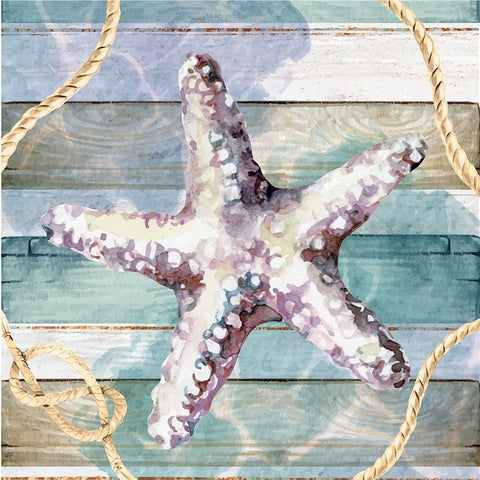 Starfish White Modern Wood Framed Art Print with Double Matting by ND Art