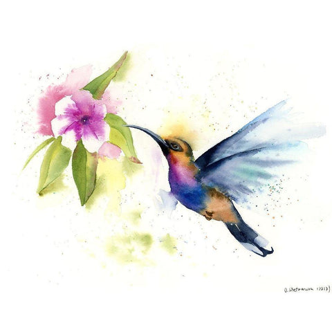 Hummingbird Gold Ornate Wood Framed Art Print with Double Matting by Shefranov, Olga