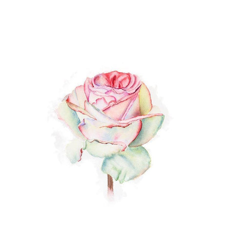 Rose White Modern Wood Framed Art Print by Shefranov, Olga