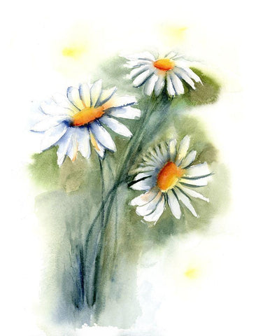 Daisies White Modern Wood Framed Art Print with Double Matting by Shefranov, Olga