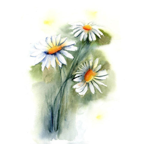 Daisies Black Modern Wood Framed Art Print with Double Matting by Shefranov, Olga