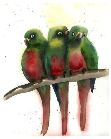 Green Parrots White Modern Wood Framed Art Print with Double Matting by Shefranov, Olga