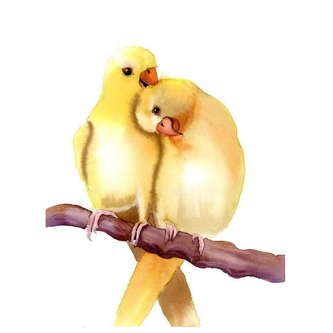 Yellow Parakeets Black Modern Wood Framed Art Print by Shefranov, Olga