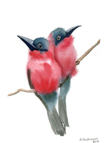 Red Bird Buddies Black Ornate Wood Framed Art Print with Double Matting by Shefranov, Olga