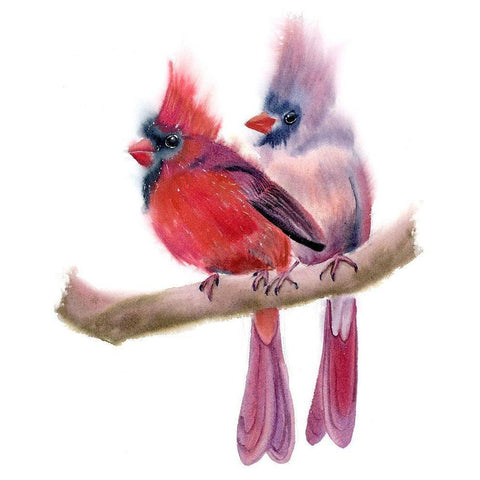 Cardinal Couple White Modern Wood Framed Art Print by Shefranov, Olga