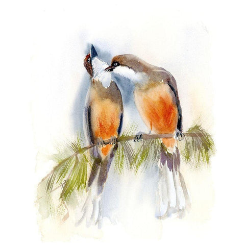 Birds on a Branch White Modern Wood Framed Art Print by Shefranov, Olga