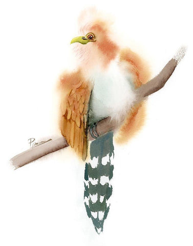 Stripe Tail Black Ornate Wood Framed Art Print with Double Matting by Shefranov, Olga