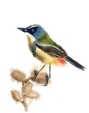 Green Bird White Modern Wood Framed Art Print with Double Matting by Shefranov, Olga