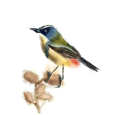 Green Bird Black Modern Wood Framed Art Print by Shefranov, Olga