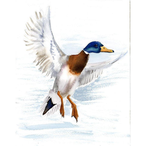 Mallard Gold Ornate Wood Framed Art Print with Double Matting by Shefranov, Olga