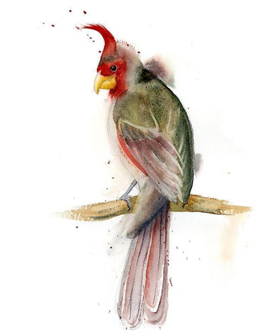 Shwoop White Modern Wood Framed Art Print with Double Matting by Shefranov, Olga