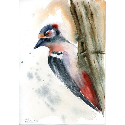 Woodpecker White Modern Wood Framed Art Print by Shefranov, Olga