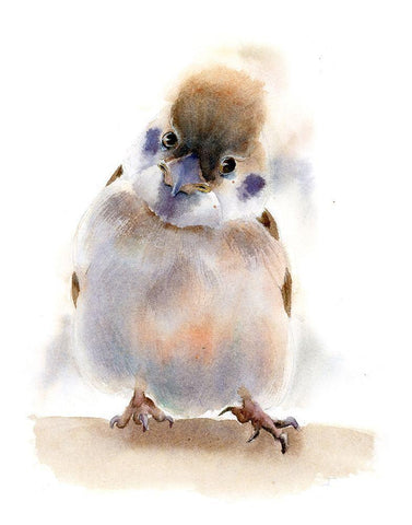 You Talkin to Me? White Modern Wood Framed Art Print with Double Matting by Shefranov, Olga